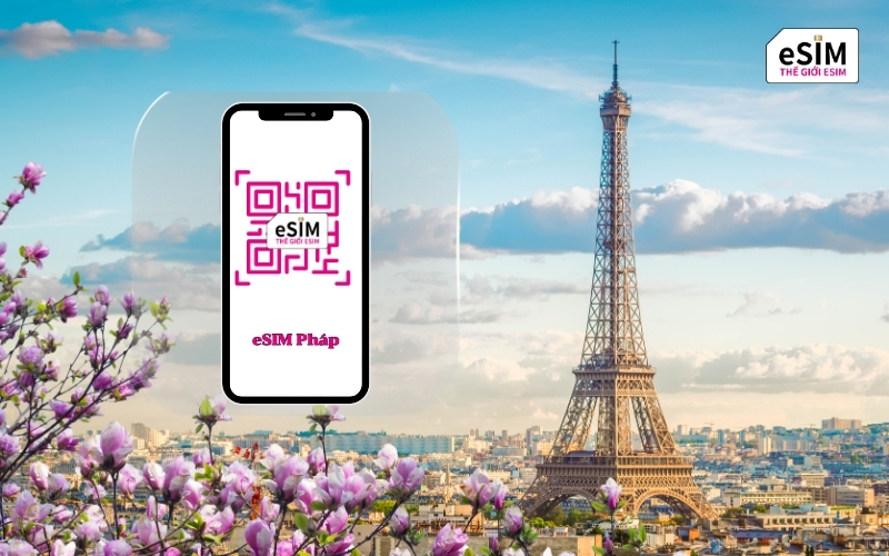 eSIM (EU 49) Pháp là gì?